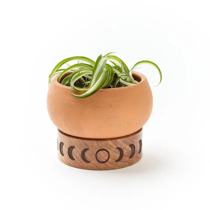 Moon Phase Terracotta Plant Stand